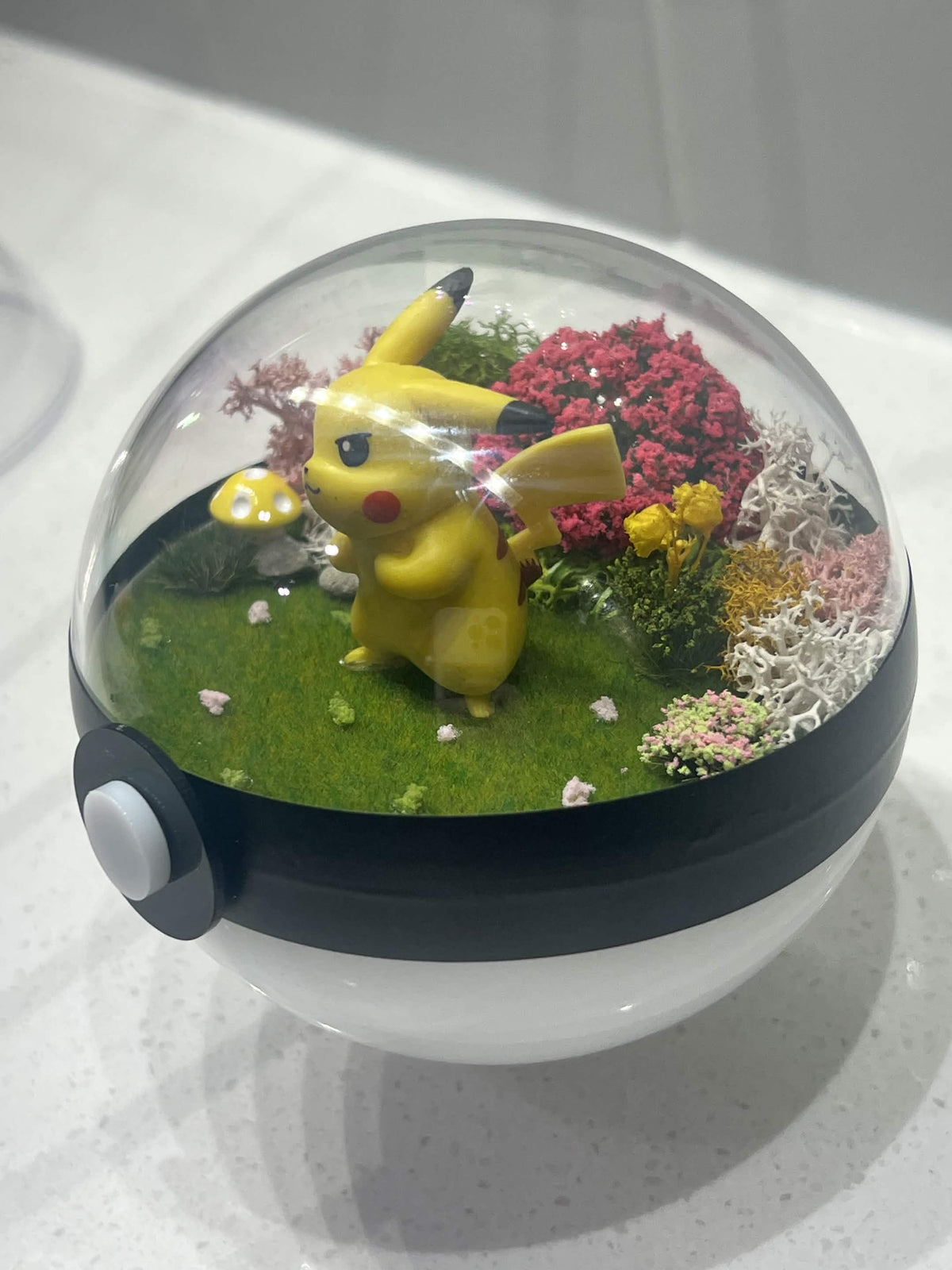 Cute Yellow Garden