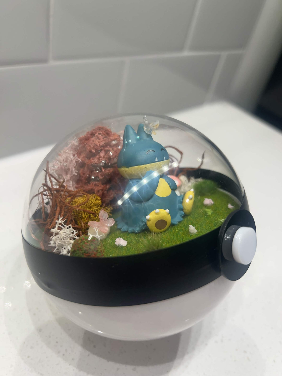 Butterly Garden