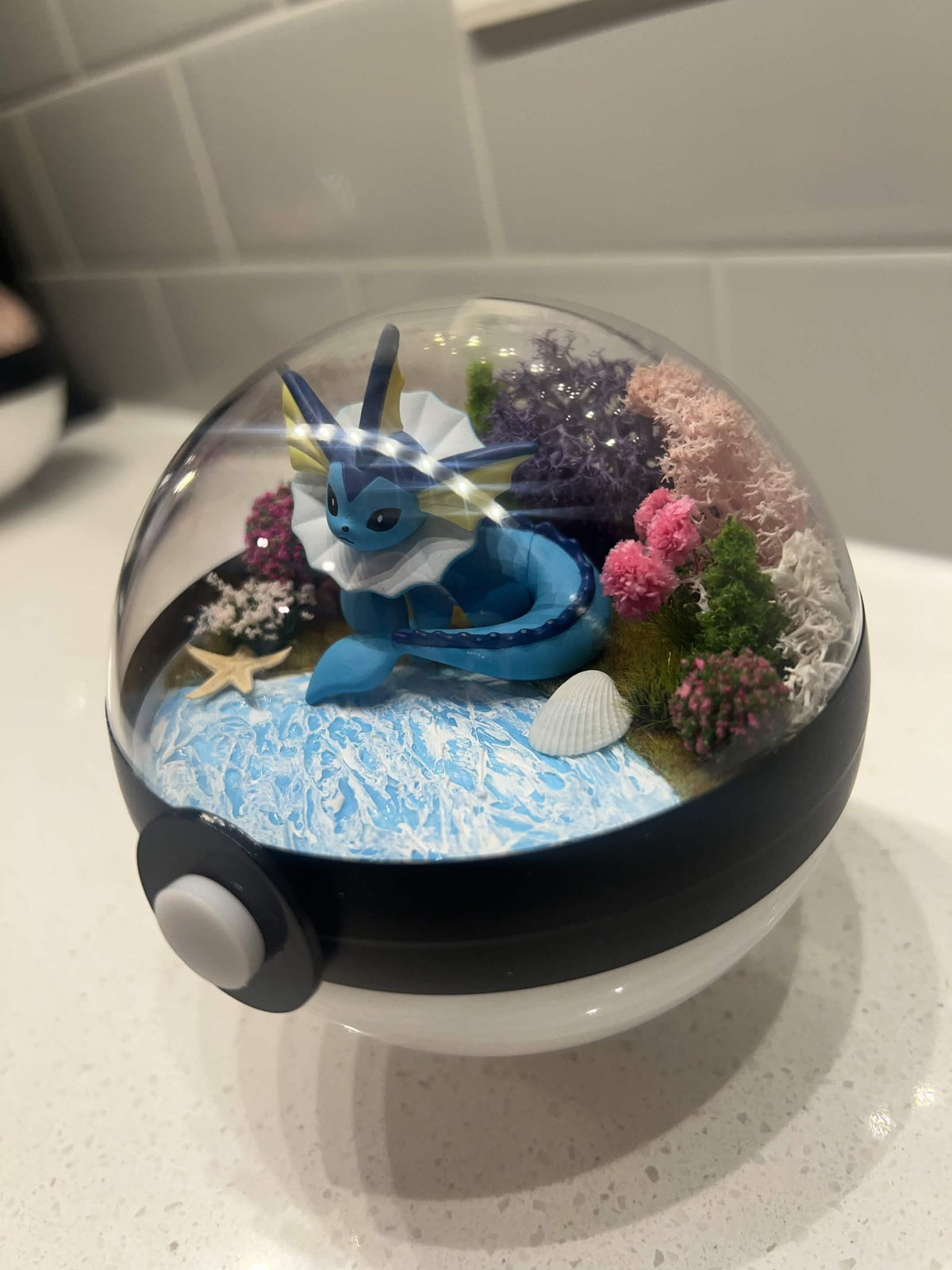 Water Garden
