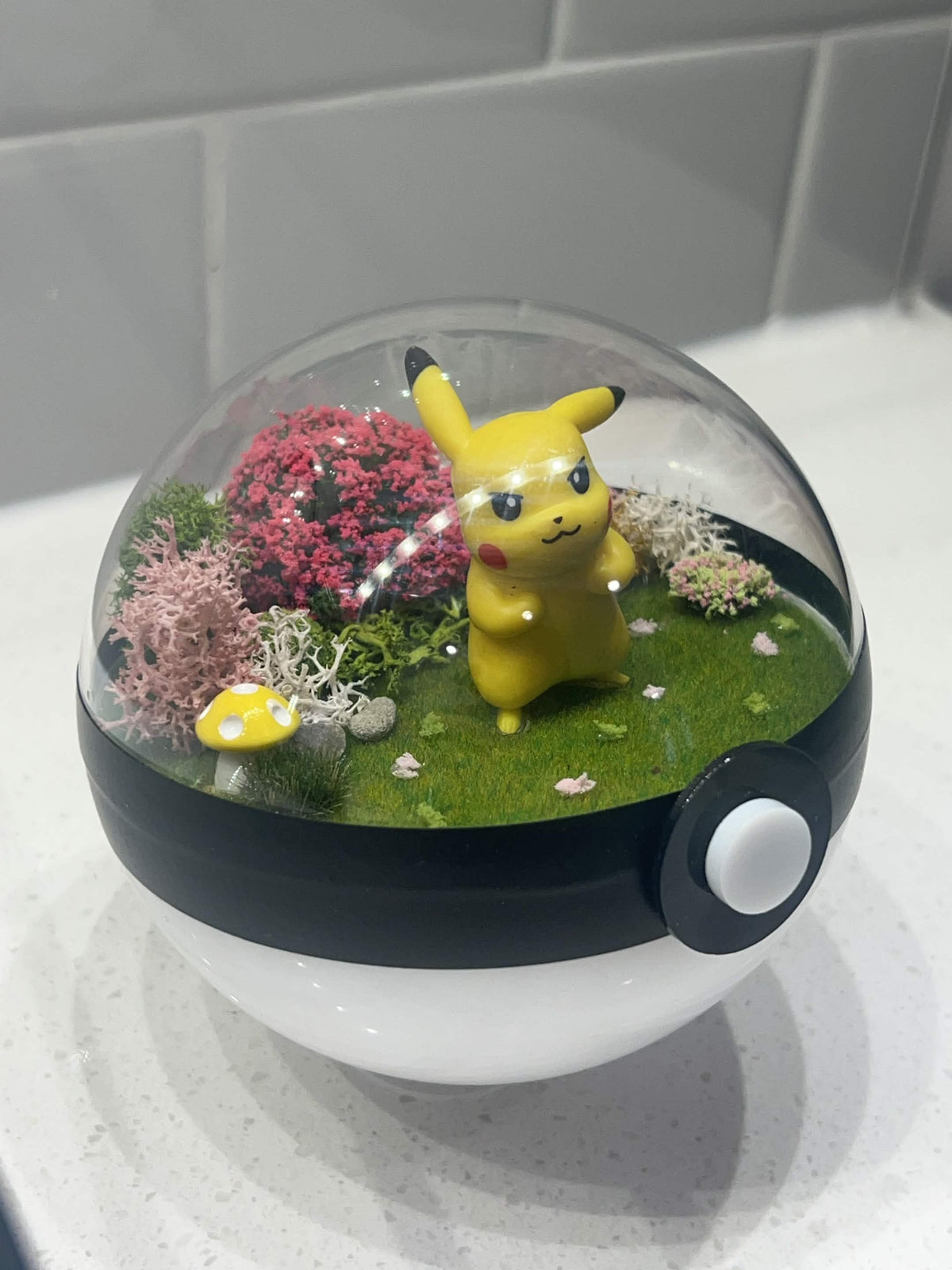 Cute Yellow Garden